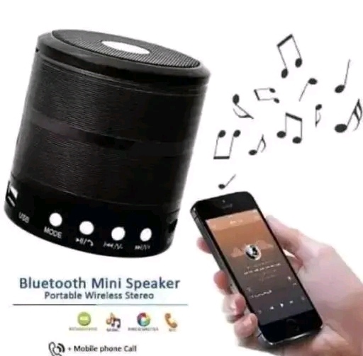 WS-887 Bluetooth Speaker with FM Radio, Memory Card Slot, USB Pen Drive Slot & Compatible with All Device (Color Black)