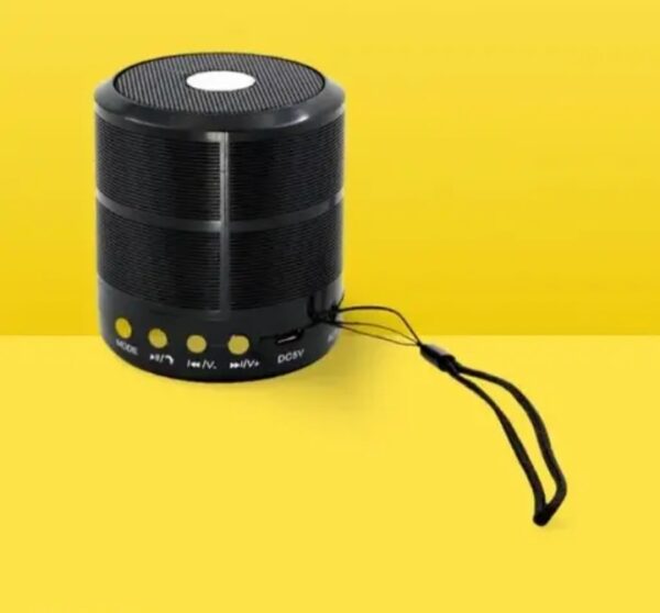 MINI Portable Wireless Bluetooth 2in1 Speaker and mic1